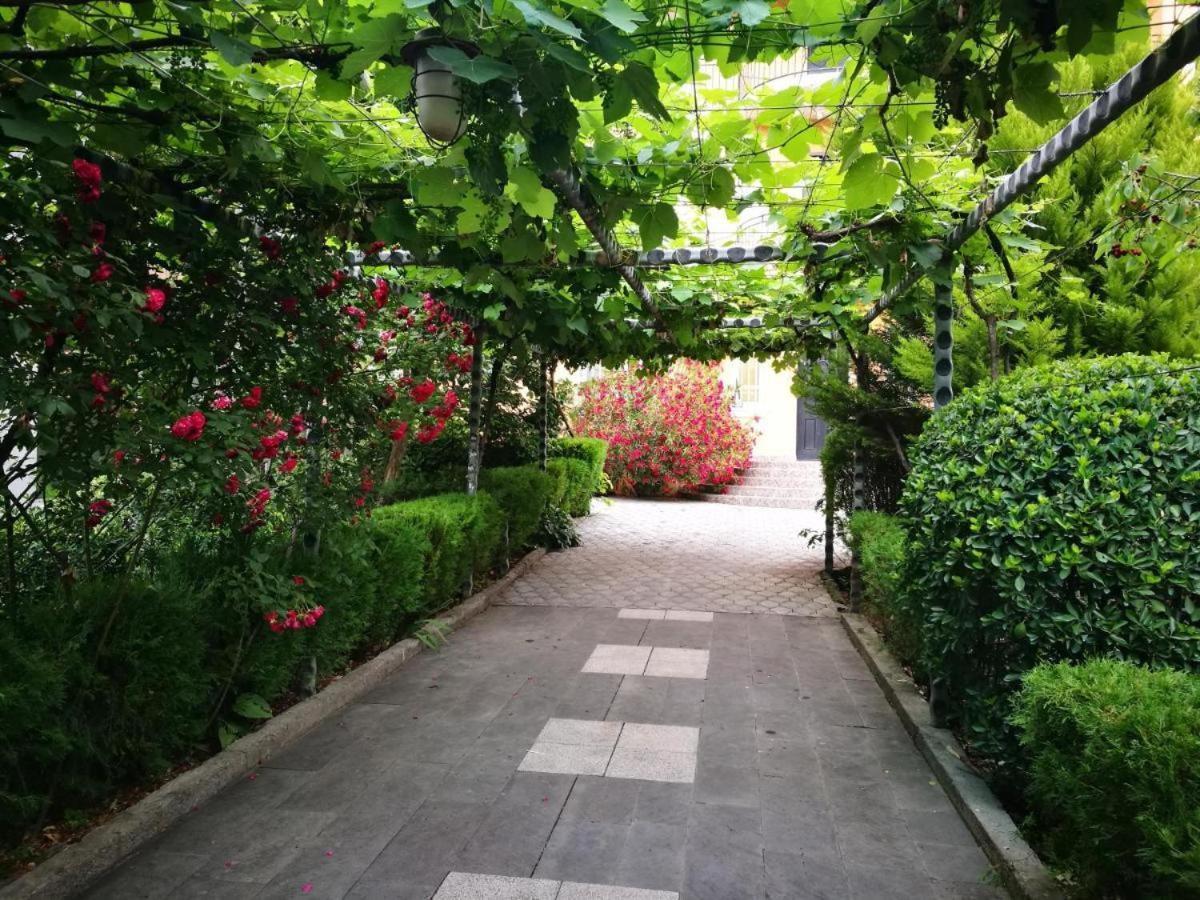 Villa Varketili Garden